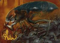 Cranial Ram Art Card (Gold-Stamped Signature)