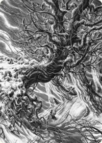Forest Art Card