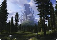 Forest (61/81) Art Card