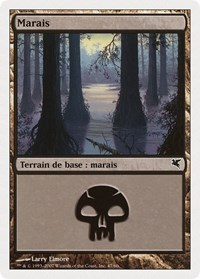 Swamp (French) - "Marais" (E47)