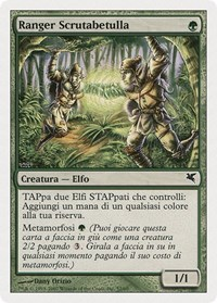 Birchlore Rangers (Italian) - "Ranger Scrutabetulla" (B52)