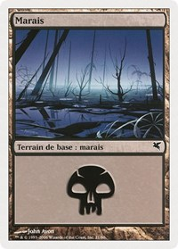 Swamp (French) - "Marais" (A21)