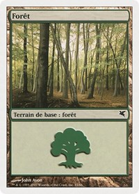 Forest (French) - "Foret" (B33)