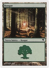 Forest (Spanish) - "Bosque" (B8)