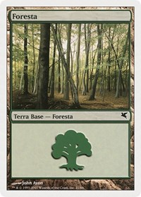Forest (Italian) - "Foresta" (B21)
