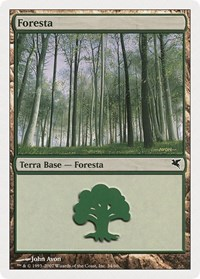 Forest (Italian) - "Foresta" (B34)