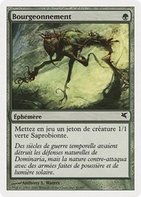 Sprout (French) - "Bourgeonnement" (J41)