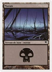 Swamp (French) - "Marais" (F35)