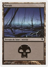 Swamp (French) - "Marais" (E35)