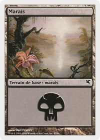 Swamp (French) - "Marais" (A47)