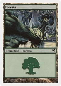 Forest (Italian) - "Foresta" (K34)