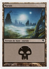 Swamp (French) - "Marais" (E48)
