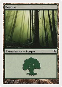 Forest (Spanish) - "Bosque" (B20)
