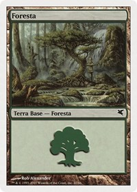 Forest (Italian) - "Foresta" (K20)