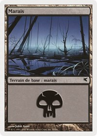 Swamp (French) - "Marais" (E59)