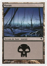 Swamp (French) - "Marais" (A59)