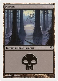 Swamp (French) - "Marais" (F22)