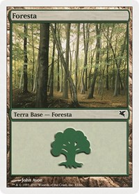 Forest (Italian) - "Foresta" (B33)
