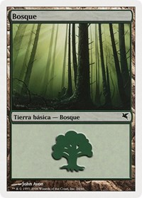 Forest (Spanish) - "Bosque" (B24)