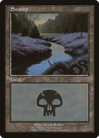 Swamp - Ardennes Fagnes