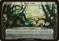 Eloren Wilds (Planechase)