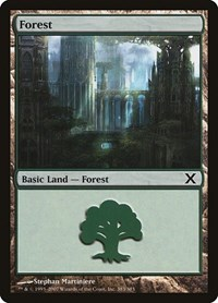 Forest (383)