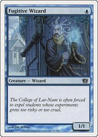 Fugitive Wizard