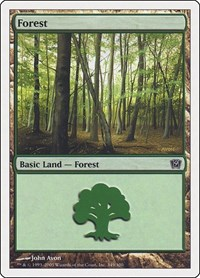 Forest (349)
