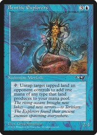 Benthic Explorers (On the Rocks)