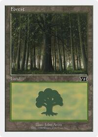 Forest (105)