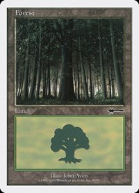 Forest (89)