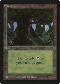 Forest (C)