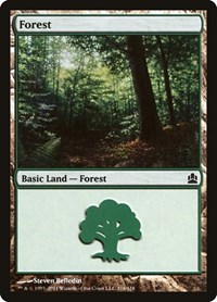 Forest (316)