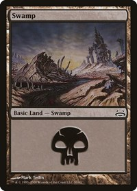 Swamp (59)