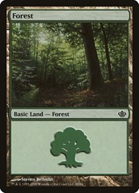 Forest (30)