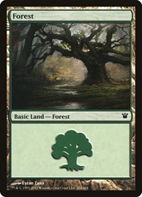 Forest (264)