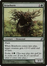 Briarhorn