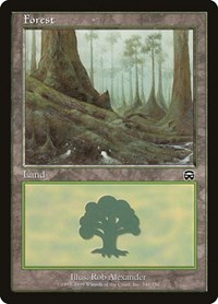 Forest (348)