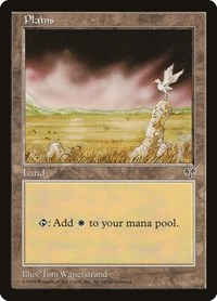 Plains (Bird)