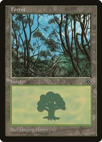 Forest (153)