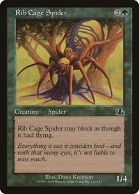 Rib Cage Spider