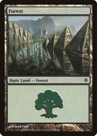 Forest (246)