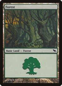 Forest (301)