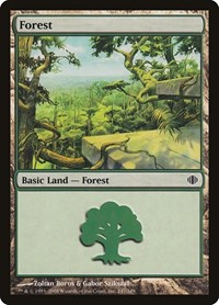 Forest (247)