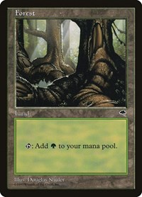 Forest (Pond)