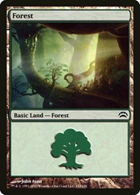 Forest (152)