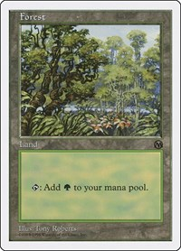 Forest (Arena)