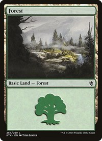 Forest (267)