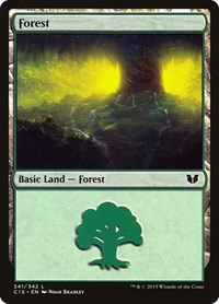 Forest (341)