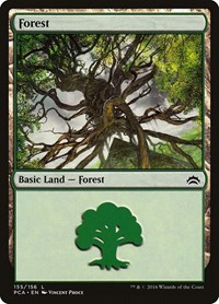 Forest (155)